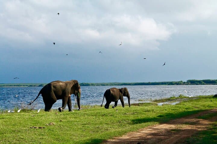 Sri Lanka Private Customizable Tour With Driver & Driver-Led Island Driving Itinerary photo 2