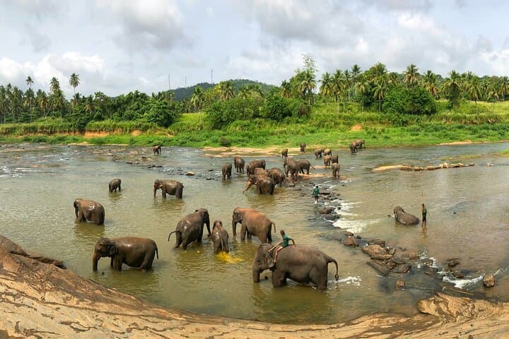 Sri Lanka Private Customizable Tour With Driver & Driver-Led Island Driving Itinerary photo 3