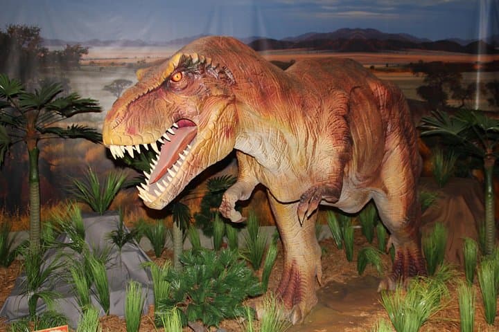Dinosaur World Glen Rose: Hands-On Fossil Digs, Animatronics & Gem Panning Near Fort Worth photo 1