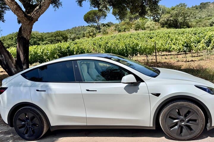 arrabida-full-day-private-wine-tour-from-lisbon photo 6