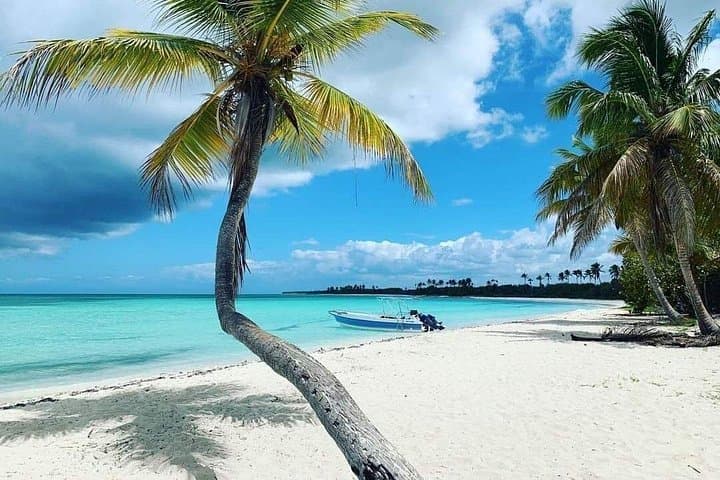 Catalina Island Catamaran Tour from Punta Cana — Snorkel Reefs, Beach Time & Buffet photo 4