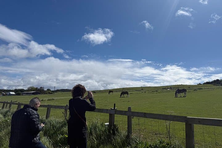 Shared Inverness and Loch Ness Day Tour — Culloden, Cawdor & Clava Cairns photo 3