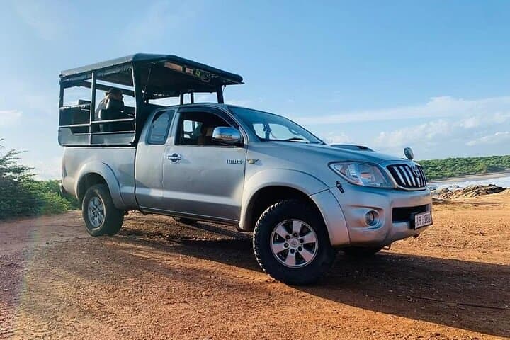Yala National Park Leopard Safari: All-Inclusive Day Trip from Colombo photo 5