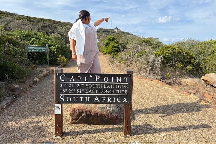 Pre-Booked Tickets to Table Mountain, Boulders Beach & Cape Point — Cape Town Day Experience photo 3