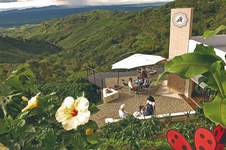 Hacienda San Alberto Coffee Farm Experience from Salento — Plantation Tour & Cupping photo 1