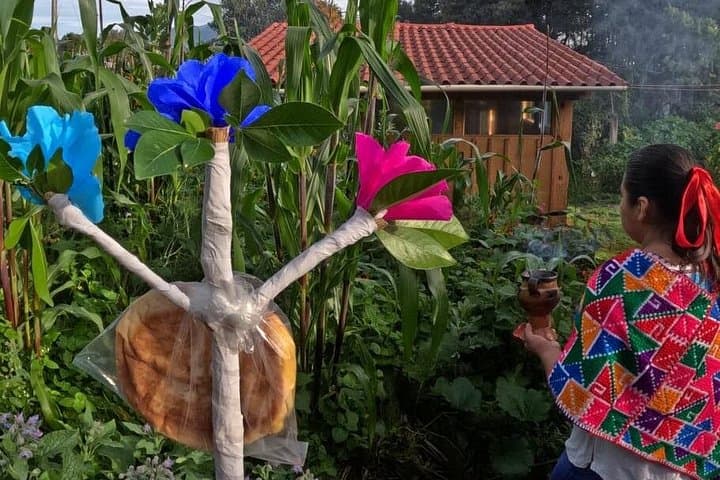 Acaxochitlán Day Tour: Water Ceremonies, Textile Workshops & Mountain Cuisine photo 5