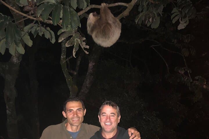 Monteverde Night Walk: Private Night Tour Through the Forest's Hidden Wildlife photo 2