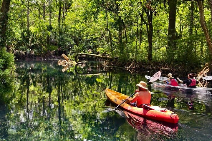 Silver Springs Glass-Bottom Boat & Kayak Day Trip from Orlando