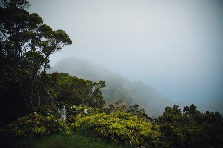 Waimea Canyon and Koke'e Day Trip from Oahu: Grand Views, Coffee, and Coast photo 3