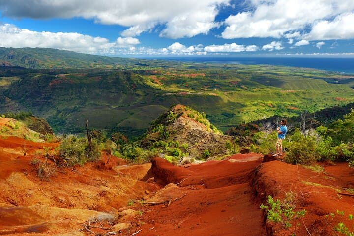 Waimea Canyon and Koke'e Day Trip from Oahu: Grand Views, Coffee, and Coast photo 2