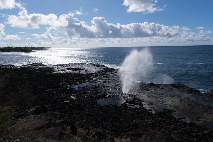 Waimea Canyon and Koke'e Day Trip from Oahu: Grand Views, Coffee, and Coast photo 5