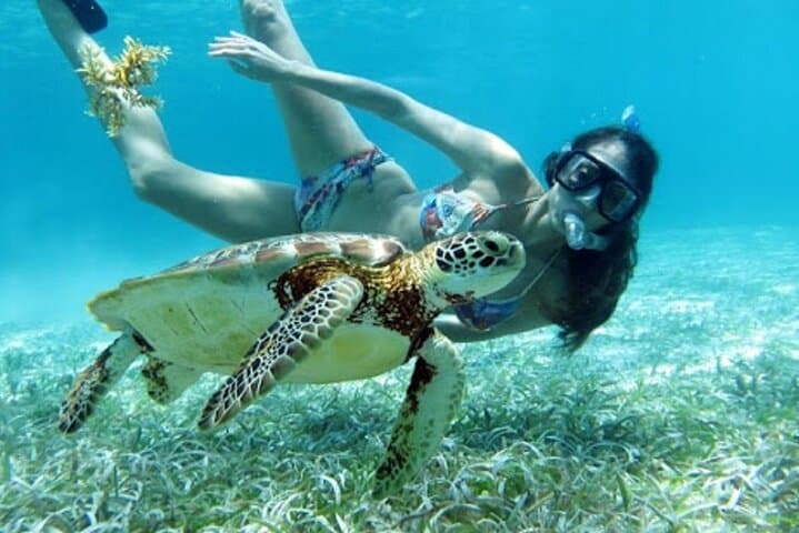 Caribbean & Tikal: 5-Day Private Guatemala and Belize Adventure from Antigua photo 6