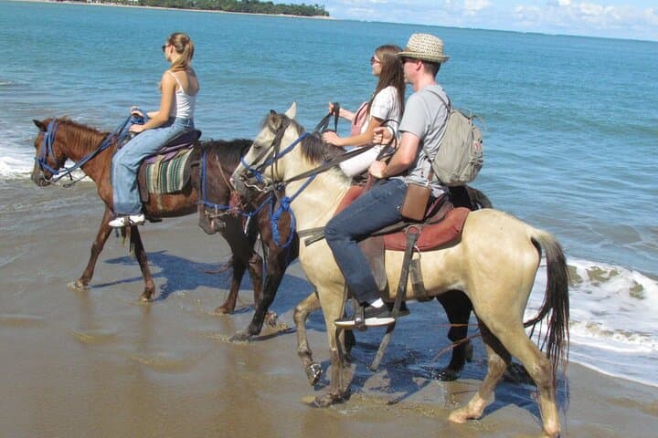 Horseback Riding in Puerto Plata: River, Countryside & Beach Adventure photo 5