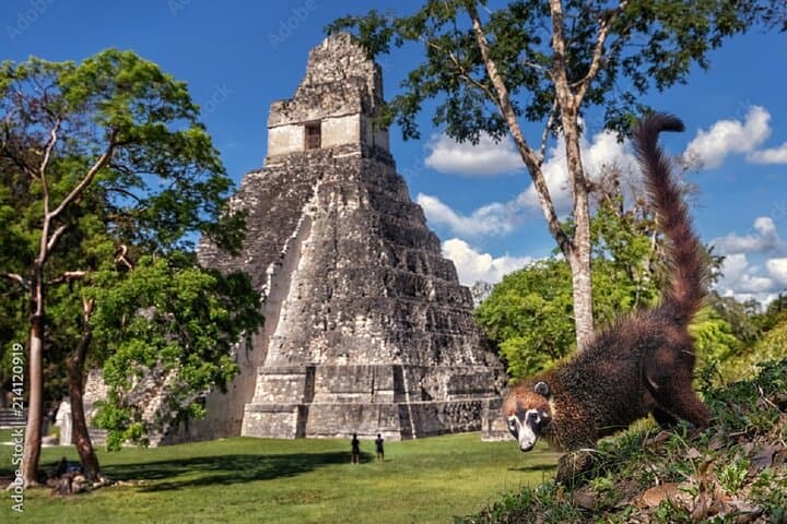 Caribbean & Tikal: 5-Day Private Guatemala and Belize Adventure from Antigua photo 2