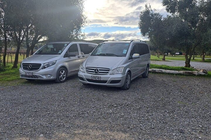 Half-Day Hawke's Bay Wine Tasting Tour from Napier