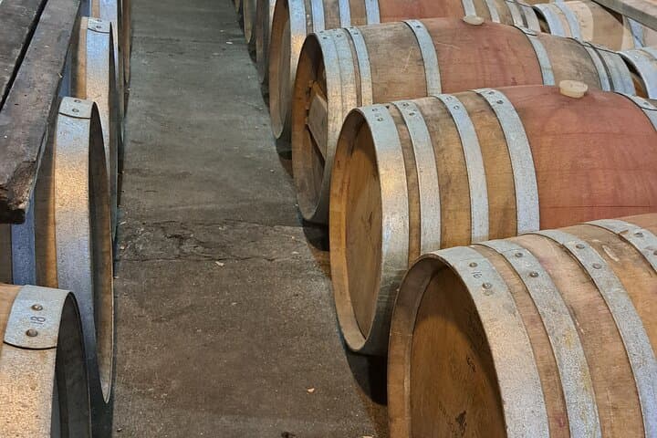 Half-Day Hawke's Bay Wine Tasting Tour from Napier photo 3