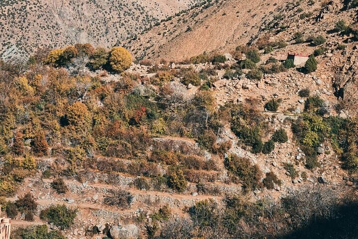 Ourika Valley Day Trip from Marrakech: Setti Fatma Waterfalls & Argan Cooperative photo 2