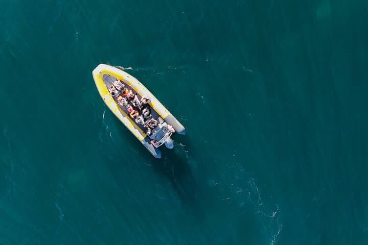 Discover the Algarve Caves: Benagil, Marinha & Coastal Sea-Cave Tour from Vilamoura photo 6