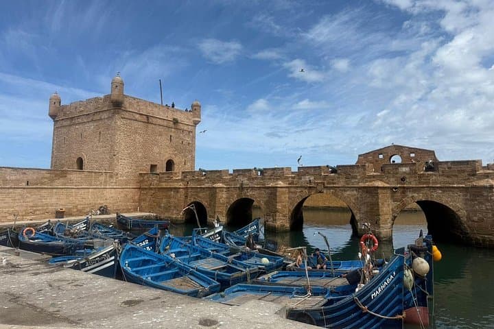 Essaouira Coastal Day Trip from Marrakech: Argan Groves, Medina & Harbor photo 2