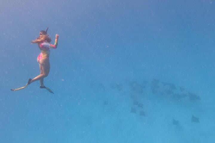 Half-Day Bora Bora Lagoon Combo: Snorkel Coral Gardens, Rays & Blacktip Sharks photo 2