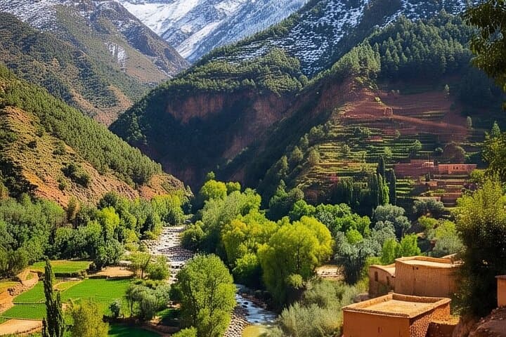 Ourika Valley Adventure from Marrakech — Waterfalls, Berber Villages & Atlas Pass photo 1