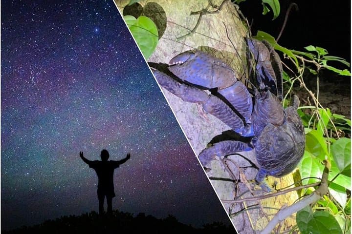 Miyako Island Night Jungle & Starry Sky Tour — Coconut Crabs and Dark-Sky Exploration photo 1
