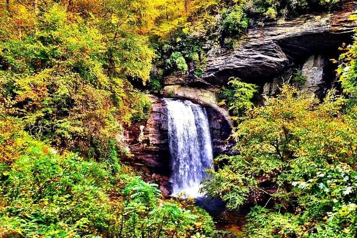 Exploring Western North Carolina’s Rainforests and Iconic Waterfalls: A Private Day Tour photo 2