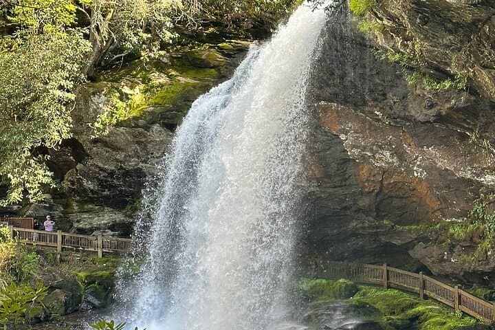 Exploring Western North Carolina’s Rainforests and Iconic Waterfalls: A Private Day Tour