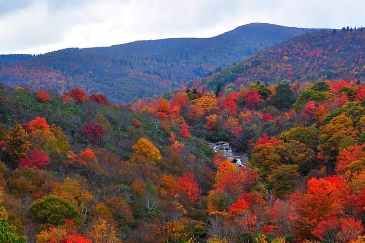 Exploring Western North Carolina’s Rainforests and Iconic Waterfalls: A Private Day Tour photo 5
