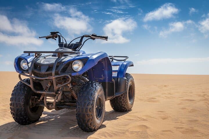 Cabo Camel Ride: Pacific Beach Safari with Tequila & Oceanfront Buffet photo 3