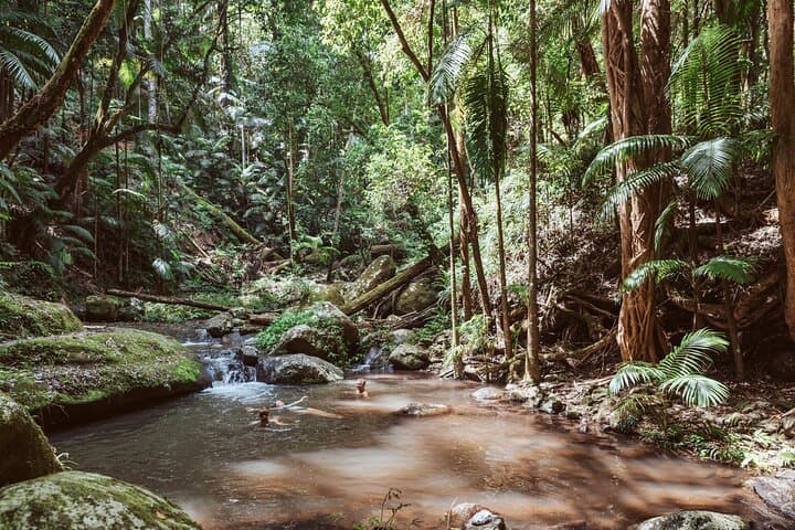 Border Ranges Glamping: Fully Catered Rainforest Retreat & Wild Swimming