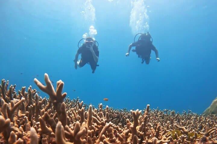 Discover Scuba Diving at Racha Yai & Maiton — Beginner Two‑Dive Trip from Phuket photo 4
