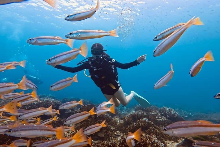Discover Scuba Diving at Racha Yai & Maiton — Beginner Two‑Dive Trip from Phuket photo 3