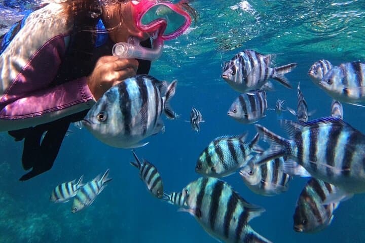Blue Cave Private Snorkeling at Cape Maeda — Okinawa Guided Tour with Photos photo 4