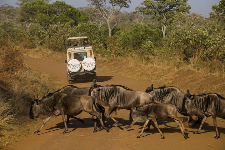 4-Day Maasai Cultural Experience near Arusha: Kiserian Village & Savannah Camp photo 2