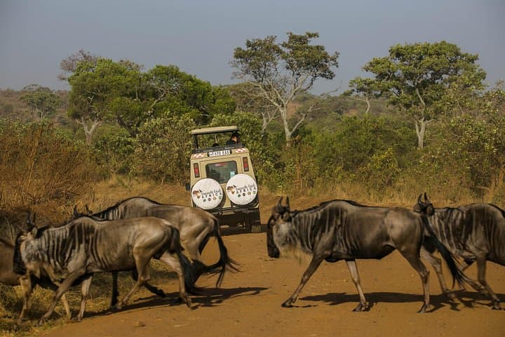 4-Day Maasai Cultural Experience near Arusha: Kiserian Village & Savannah Camp photo 3