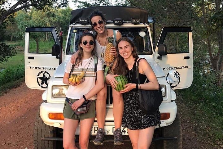 Udawalawe Day Trip from Kalutara — Safari, Elephant Transit & Madu River Boat photo 1