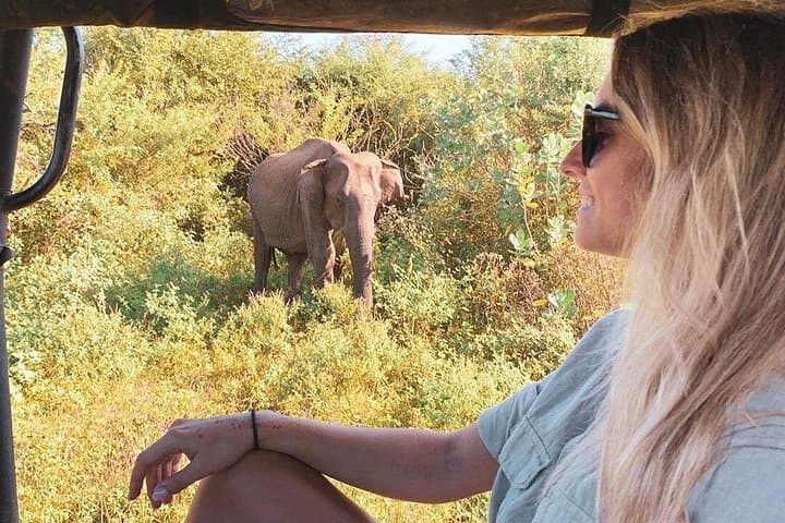 Udawalawe Day Trip from Kalutara — Safari, Elephant Transit & Madu River Boat photo 2