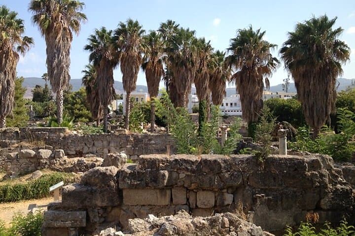 Private Half-Day Kos History Tour: Asklepion, Antimachia & Kos Town photo 6