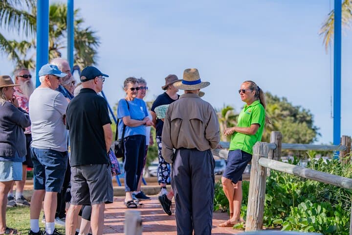 Discover Broome: Cable Beach, Pearl History & Gantheaume Point Panoramic Bus Tour photo 5