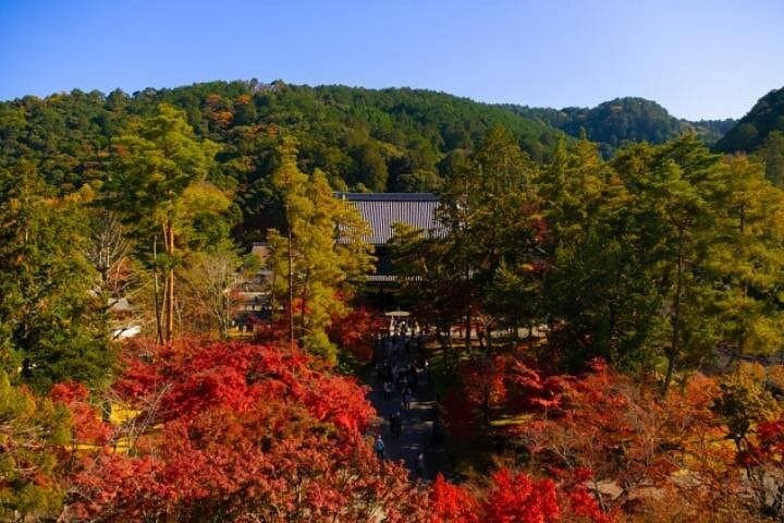 Peaceful Kyoto Walking Tour: Philosopher's Path, Ginkakuji & Zen Gardens photo 4