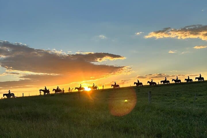 Hunter Valley Sunrise Horse Ride — 75-Minute Rise and Shine to the Broken Back Range photo 2
