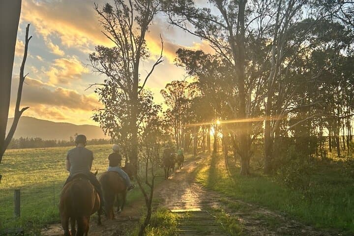 Hunter Valley Sunrise Horse Ride — 75-Minute Rise and Shine to the Broken Back Range photo 4