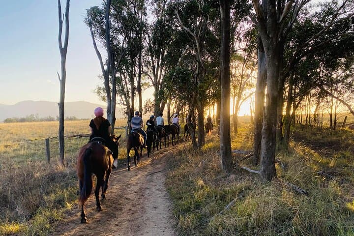 Hunter Valley Sunset Horse Ride — 90-Minute Twilight Trail Ride photo 2