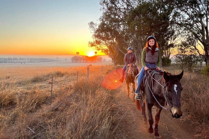 Hunter Valley Sunrise Horse Ride — 75-Minute Rise and Shine to the Broken Back Range