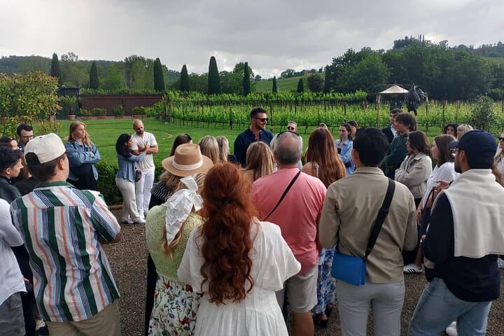 Half-Day Chianti Wine Tasting from Siena — Castellina Cellars & Scenic Vistas photo 1