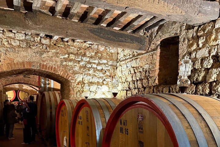 Half-Day Chianti Wine Tasting from Siena — Castellina Cellars & Scenic Vistas photo 3