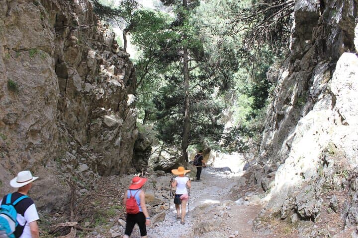 Sfakia Private Escape: Imbros Gorge Hike, War Museum & Iligas Beach photo 5