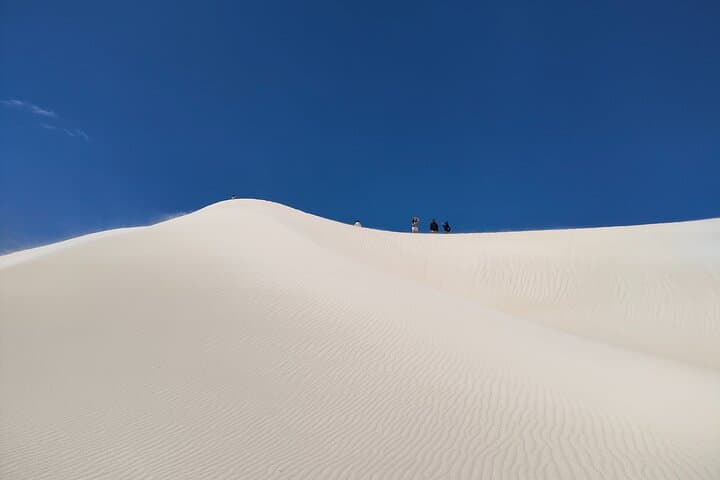 Pinnacles & Lancelin Sand Dune Day Tour from Perth — Pinnacles Desert, Lobster Shack & Wedge Island photo 3