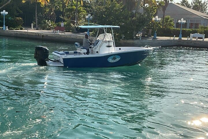 Nassau Private Boat Charter: Rose Island Snorkel, Pearl Reef & Swimming Pigs Day Cruise photo 6